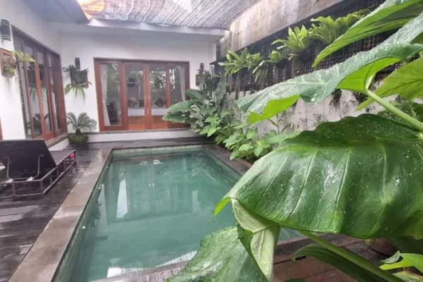 MGM3 Pool View