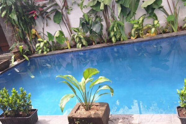 shanty place villas (5)
