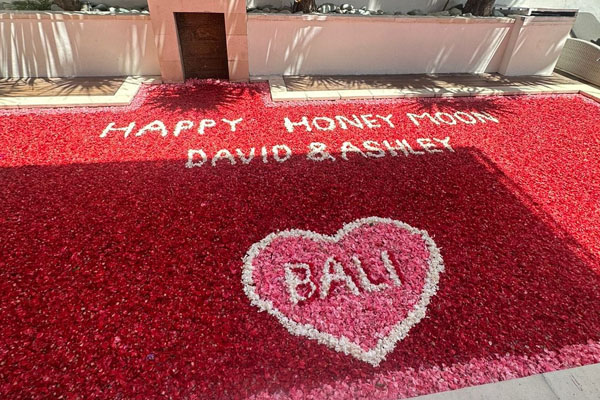 Virtual Assistant Services Bali, Best Property For Sale In Bali, Bali Tours And Activities, Unique Property Bali, Private English Teacher Bali