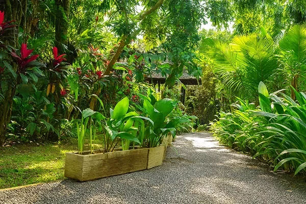 Jungle Hideaway Villas – River Cafe (38)