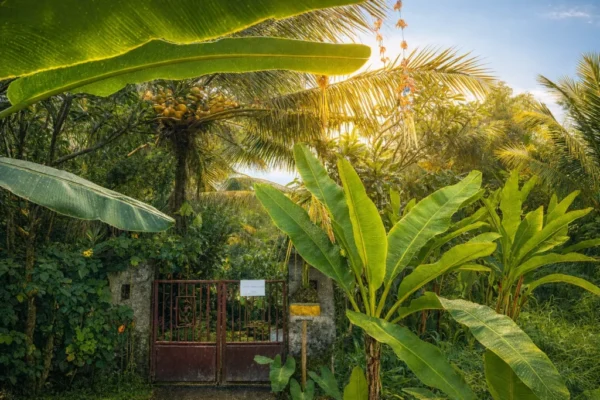 Entrance Jungle Hideaway Villas