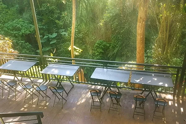 Jungle Hideaway Villas Chair Enjoying View