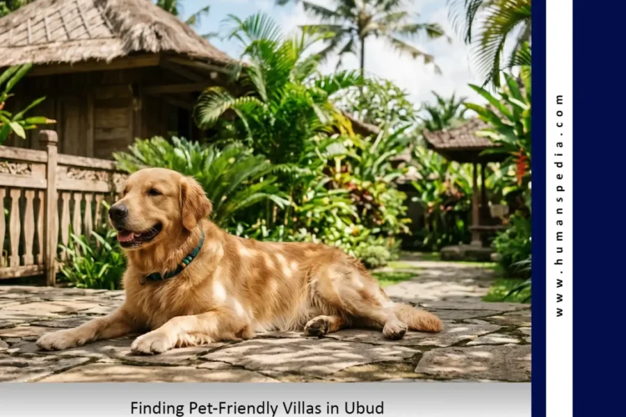 Dog relaxing in a securely fenced garden at a pet-friendly villa in Ubud