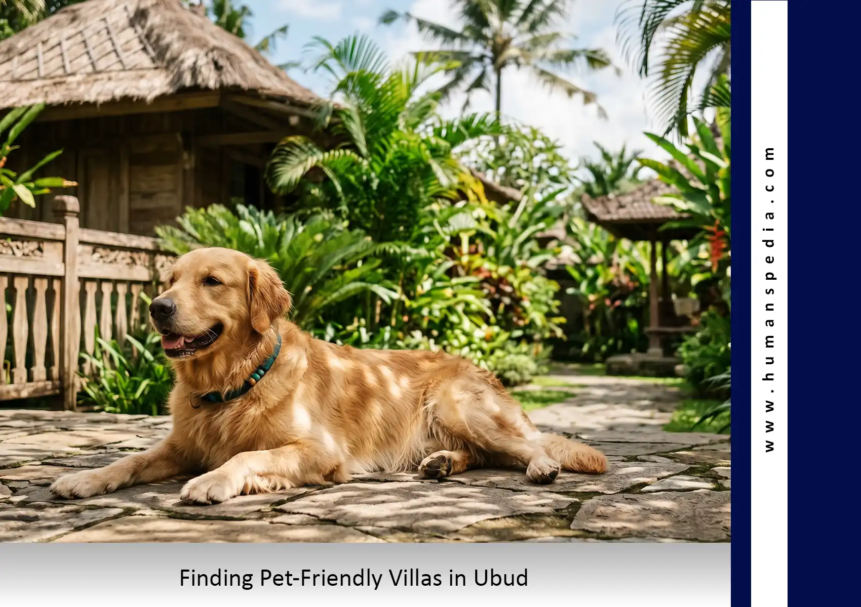 Dog relaxing in a securely fenced garden at a pet-friendly villa in Ubud